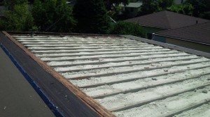 vaulted roof with spray foam