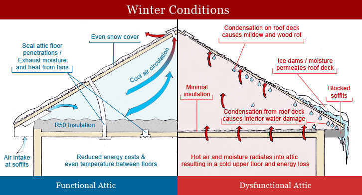 insulation diagram - winter